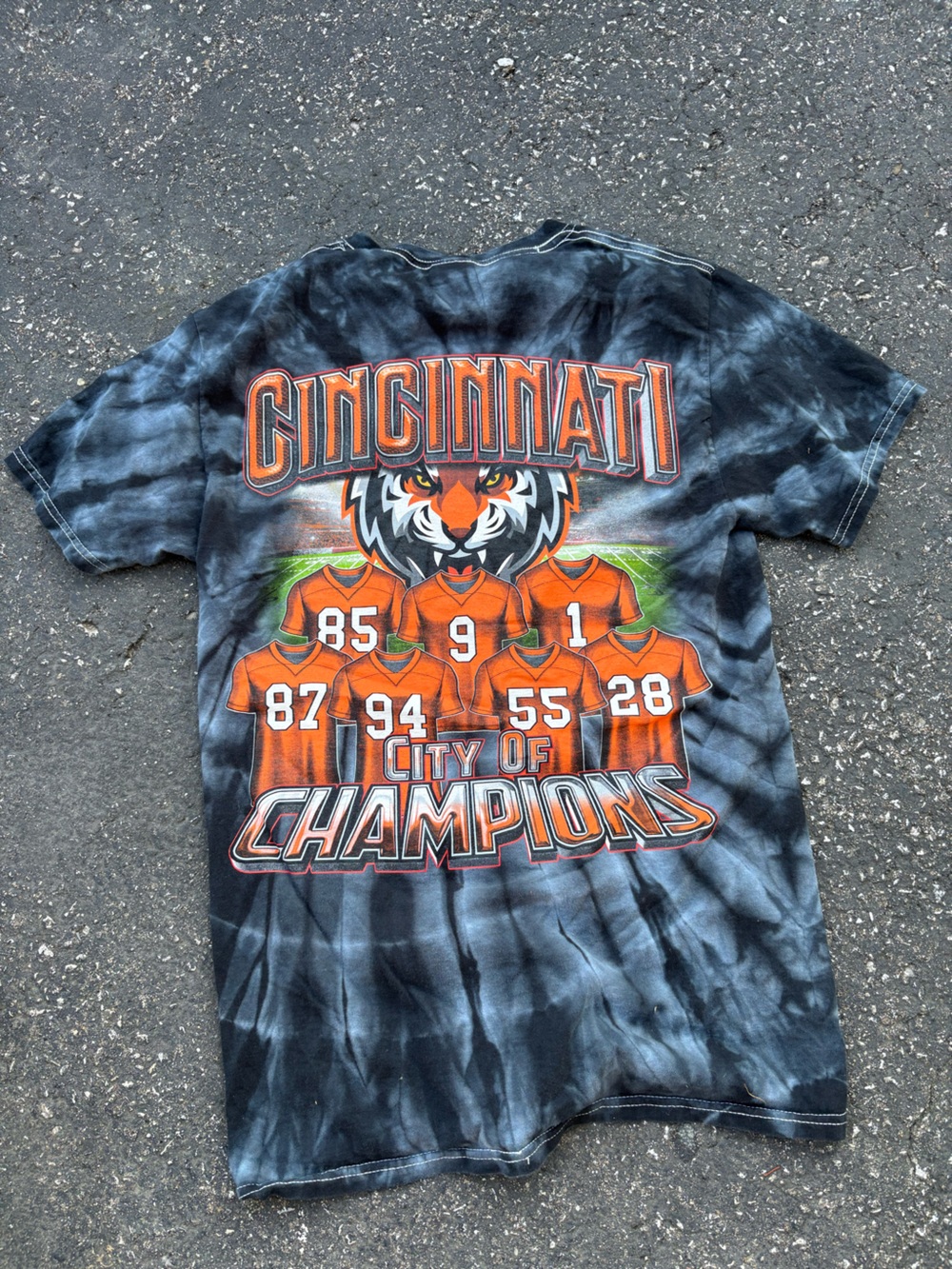 Cincinnati Bengals City of Champions